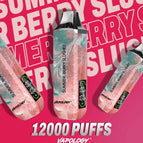 Summer Berry Slushee / 50mg