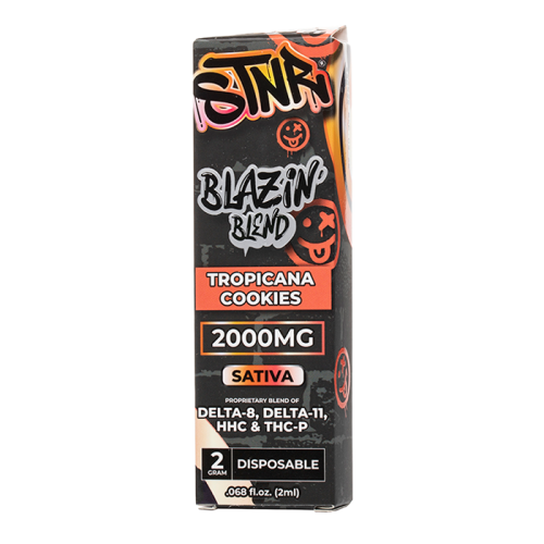 STNR - Blazin Blends / 2 Gram Disposable